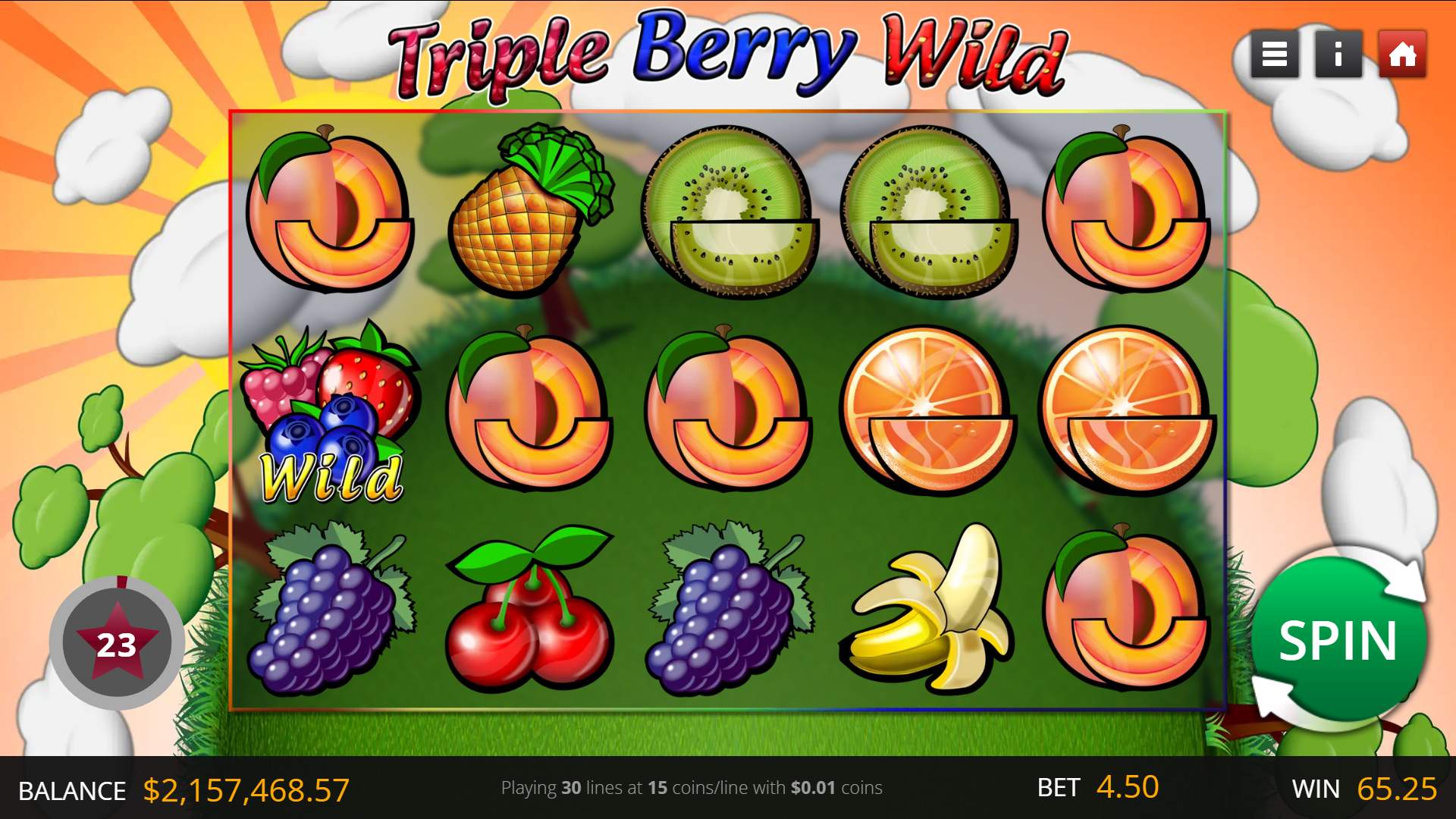Triple Berry Wild game